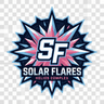 Solar Flares
